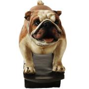 Bulldog On A Skateboard Sculpture