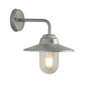 Toronto Clear Glass Outdoor Wall Light In Silver